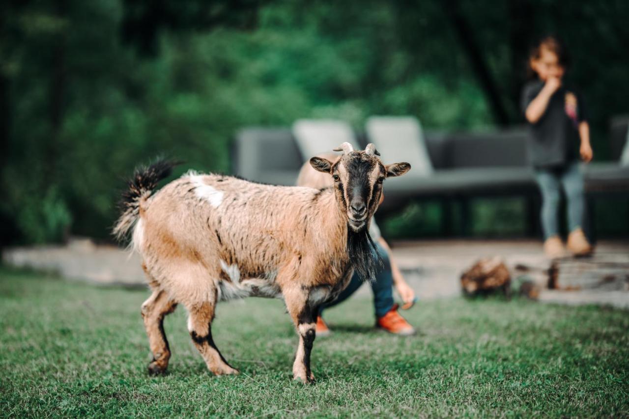 Goat'S Paradise Bohinj Zewnętrze zdjęcie